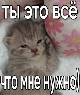 🌟 emoji Подари мне любовь разбивая руки в кровь... Telegram sticker 8 of 46