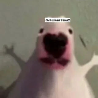 😄 emoji Псина-Тяня сутулая Telegram sticker 1 of 59
