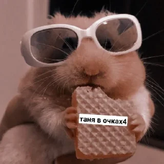 😄 emoji Псина-Тяня сутулая Telegram sticker 11 of 59