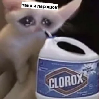 😄 emoji Псина-Тяня сутулая Telegram sticker 2 of 59