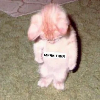 😄 emoji Псина-Тяня сутулая Telegram sticker 23 of 59
