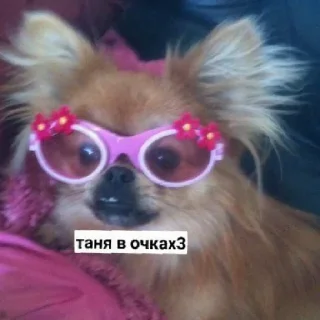 😄 emoji Псина-Тяня сутулая Telegram sticker 19 of 59