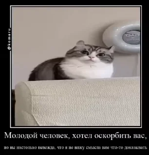 Sticker from комару и банда😼