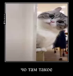 Sticker from комару и банда😼