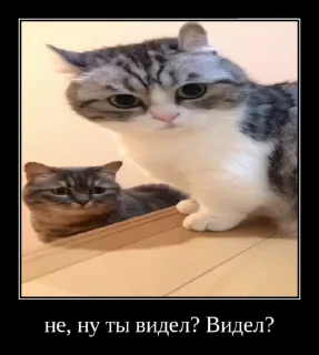 Sticker from Комарекэ👄