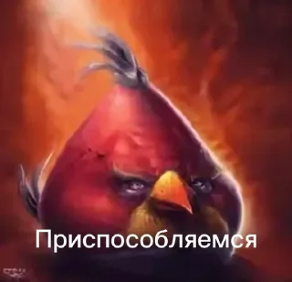 🌟 emoji Птички сидим не рыпаемся Telegram sticker 13 of 15