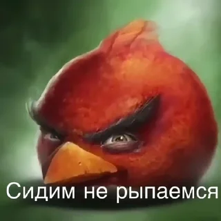 Sticker from Птички сидим не рыпаемся