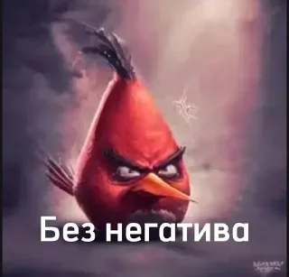 🌟 emoji Птички сидим не рыпаемся Telegram sticker 7 of 15
