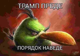 🌟 emoji Птички сидим не рыпаемся Telegram sticker 14 of 15
