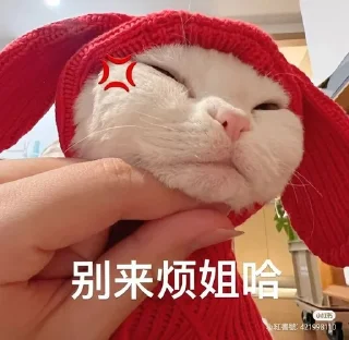 🤬 emoji Китайские коты Telegram sticker 15 of 23