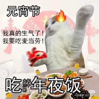 🔥 emoji Китайские коты Telegram sticker 9 of 23