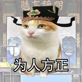 🤠 emoji Китайские коты Telegram sticker 2 of 23