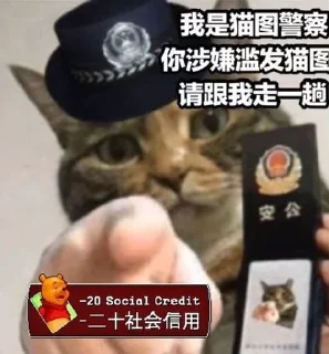 👮‍♀ emoji Китайские коты Telegram sticker 5 of 23