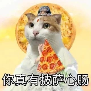 🍕 emoji Китайские коты Telegram sticker 10 of 23