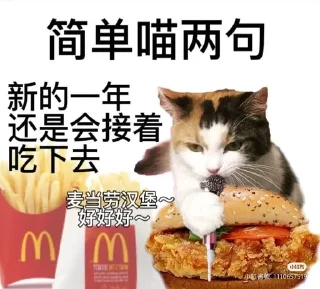 🍔 emoji Китайские коты Telegram sticker 7 of 23