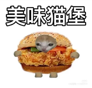 😰 emoji Китайские коты Telegram sticker 14 of 23