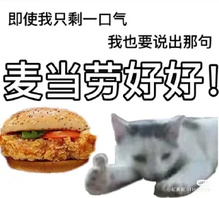 😸 emoji Китайские коты Telegram sticker 23 of 23