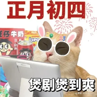 😎 emoji Китайские коты Telegram sticker 11 of 23