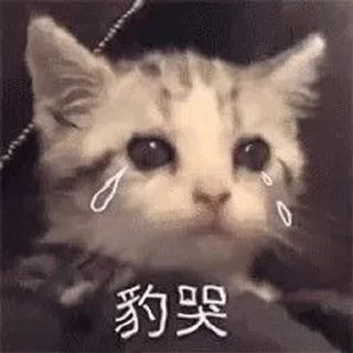 😿 emoji Китайские коты Telegram sticker 20 of 23