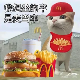 🍟 emoji Китайские коты Telegram sticker 4 of 23