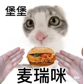 🍔 emoji Китайские коты Telegram sticker 6 of 23