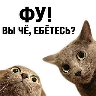 Sticker from Четвёртый нахой