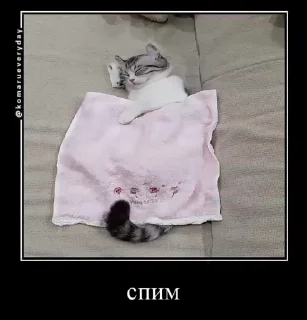 Sticker from Аллах дно
