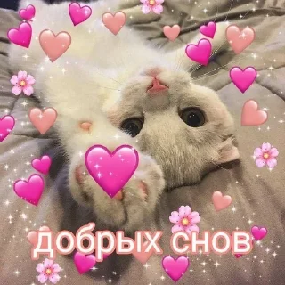 😴 emoji For cuties🥰 Telegram sticker 9 of 83