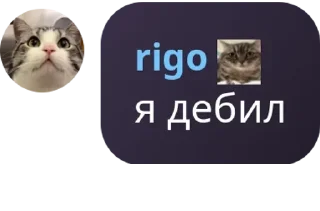🙋‍♀️ emoji Бар «У кабанов» pack by @QuotLyBot Telegram sticker 4 of 63