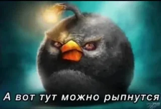 Sticker from сидим не рыпаемся @chevroletaxo