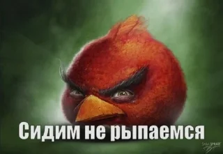 Sticker from сидим не рыпаемся @chevroletaxo