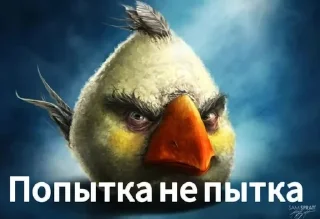 Sticker from клещ роял