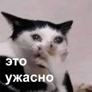 Sticker from Котаке