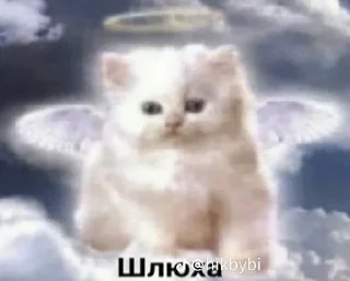 Sticker from Котаке