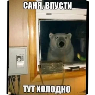 🖼 emoji Не совсем бумажные человечки Telegram sticker 13 of 13
