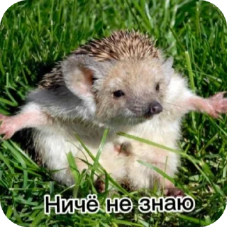 🐶 emoji Не совсем бумажные человечки Telegram sticker 9 of 13