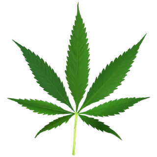 🍁 emoji @montanaym @TheCyberUserBot Paketi 1 Telegram sticker 17 of 19