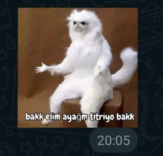 ✨ emoji @esgin340 @TheCyberUserBot Paketi 1 Telegram sticker 19 of 45