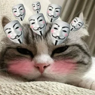 Sticker from комару