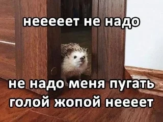Sticker from вылечите мою шизофазию