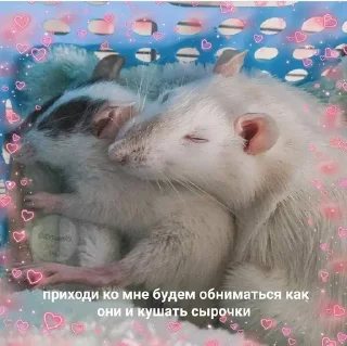 🍑 emoji Криски Лариски Telegram sticker 17 of 25