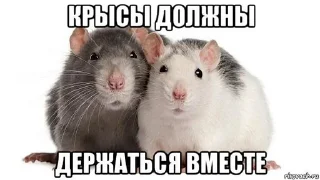 🤗 emoji Криски Лариски Telegram sticker 8 of 25