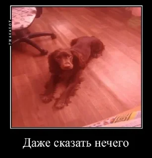 Sticker from Ричь китаец