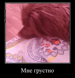 Sticker from Ричь китаец