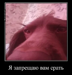 Sticker from Ричь китаец