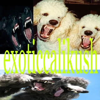 Sticker from ExCaKu🤮