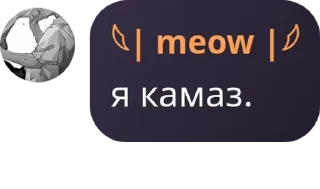 Sticker from Братство Бешеных Верблюдов🍳 pack by @QuotLyBot