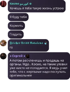🈸 emoji Пингвинье Братство pack by @QuotLyBot Telegram sticker 6 of 48