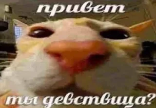 ❓ emoji открыточки Telegram sticker 8 of 50