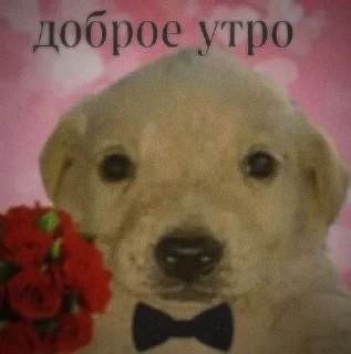 🤗 emoji открыточки Telegram sticker 19 of 50